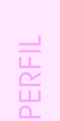 perfil da personal organizer