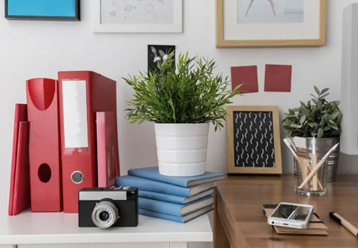 Organização Empresarial